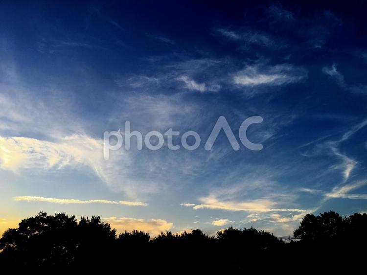 夏の夕暮れ 木,空,青空の写真素材