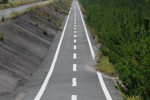 太平洋岸自転車道 太平洋岸自転車道,自転車道,直線の写真素材