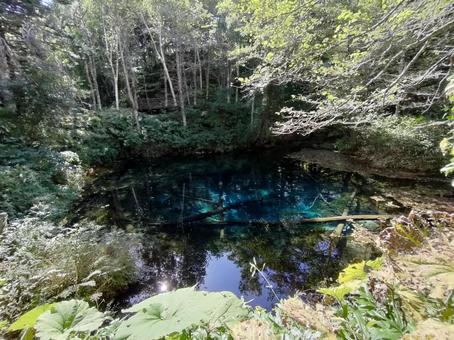 神の子池 神の子池 秘境,神秘的,神の子池の写真素材