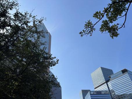 青空と高層ビル 大阪,高層ビル,ビルの写真素材