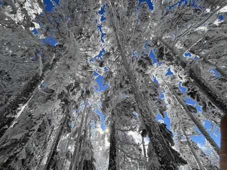 雪景色 雪景色 雪景色,冬季登山,森の写真素材