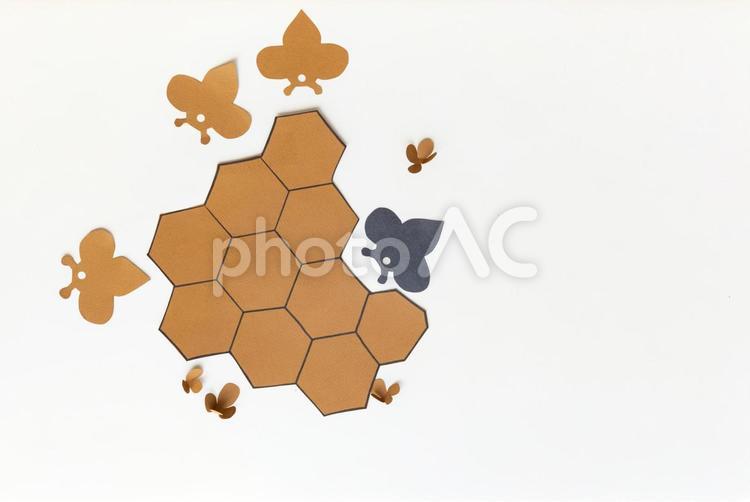 蜂と花びらと蜜蝋の塊の切り紙 キャンドル,材料,インテリアの写真素材