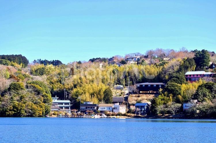 桜の開花はまだか、春めく一碧湖 早春,春先,春めくの写真素材