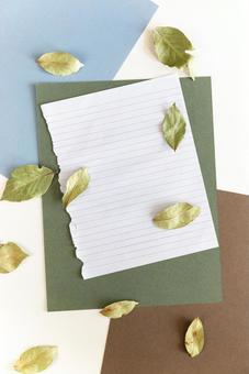 Light blue, green and brown paper, scraps of notebook paper and dry leaves, mock up, monument shooting, paper, JPG