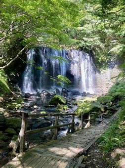 滝 滝の写真