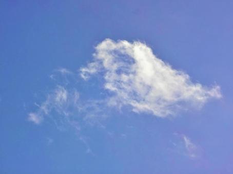 雲 雲の写真