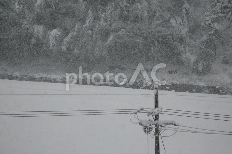 雪の風景、電柱、川 雪,電柱,川の写真素材