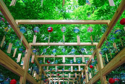 森の風鈴小路6 風鈴,夏,福徳の森の写真素材