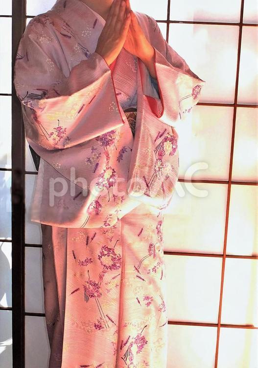 手を合わせる着物の女性 着物,和服,女性の写真素材
