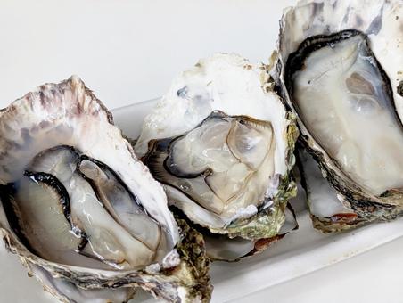 蒸し牡蠣 蒸し牡蠣 牡蠣,蒸し牡蠣,料理の写真素材