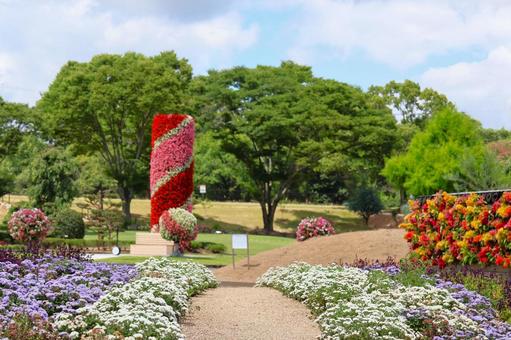 ７月中旬のさぬきフラワーガーデンの花 花,植物,赤の写真素材