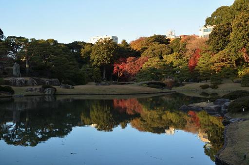 六義園の風景 六義園の風景の写真
