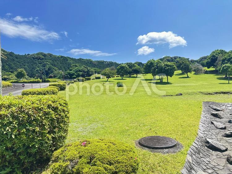 公園　夏の景色 太地町森浦,公園,公共施設の写真素材