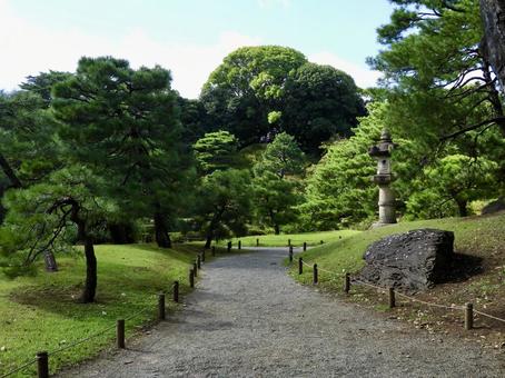 特別名勝六義園の散策道 特別名勝六義園の散策道 六義園,庭園,大名庭園の写真素材