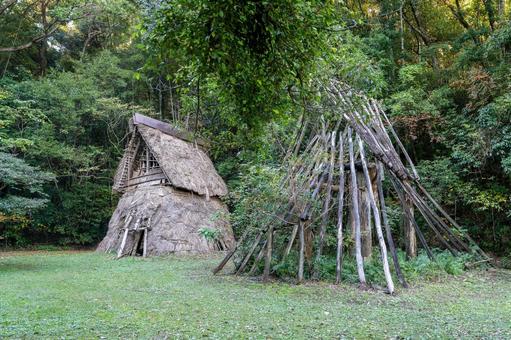 蓮ヶ池史跡公園の古代住居 歴史,古代,住居の写真素材