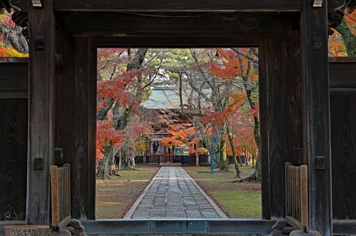 松戸市東漸寺の中雀門から仁王門を覗く 東漸寺,紅葉,東漸寺中雀門の写真素材