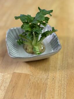 再生野菜(大根2) 食材,vegetarianac,人物無しの写真素材