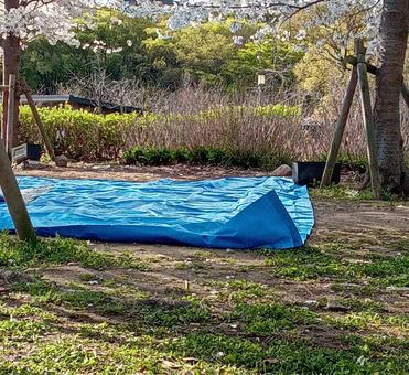 花見の場所とり 花見の場所とりの写真