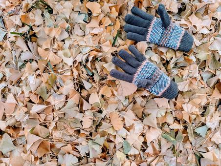 冬の屋外の手袋① 自然,背景,手袋の写真素材