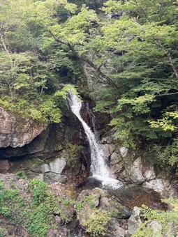 滝 滝の写真
