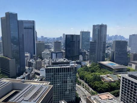 ビルの森、空の彼方 ビルの森、空の彼方 高層ビル,青空,都市の写真素材