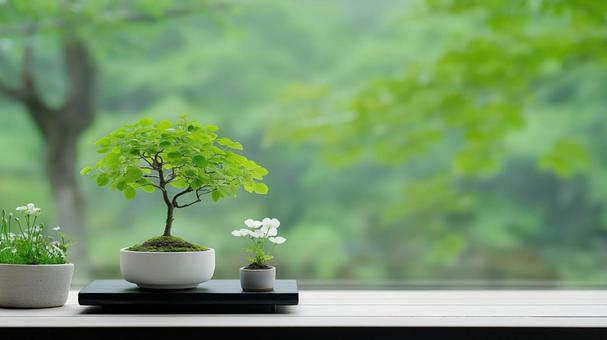 緑の庭と、盆栽・山野草の鉢植え 緑の庭と、盆栽・山野草の鉢植えの写真