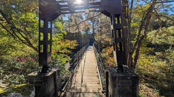岩手県一関市　御覧場橋　吊り橋 岩手県,一関市,御覧場橋の写真素材