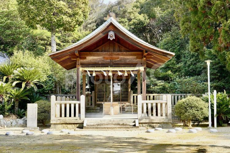 兵庫　大和大國魂神社　拝殿 大和大國魂神社,大和大國魂,神社の写真素材