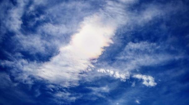 Photo, summer, sun, weak light, 