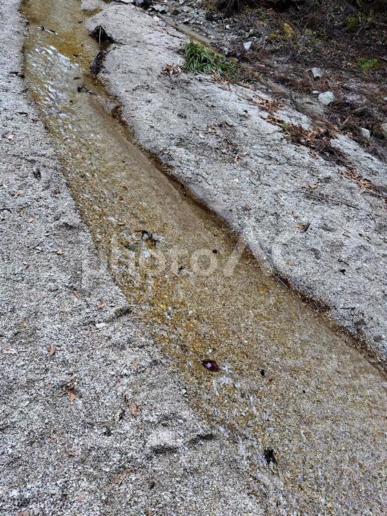 砂地を流れる小川 小川,砂地,雨の後の写真素材