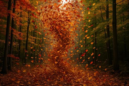 紅葉旋風の森 紅葉旋風の森の写真
