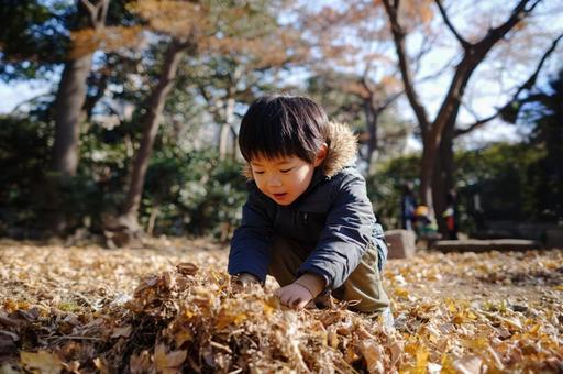 落ち葉で遊ぶ子ども-2 落ち葉で遊ぶ子ども-2の写真