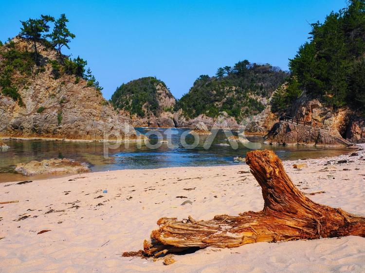 海岸　鴨ヶ磯付近の様子　流木 海岸,海,岩の写真素材