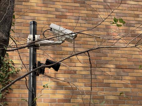 防犯カメラ 監視カメラ,防犯カメラ,監視の写真素材