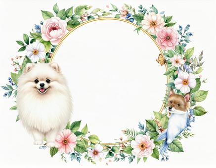 ポメラニアンと花のフレームの写真