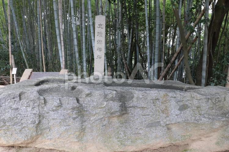 酒船石遺跡　酒船石 酒船石遺跡,酒船石,遺跡の写真素材