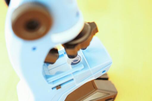 こども用の顕微鏡 顕微鏡,子供,学習の写真素材