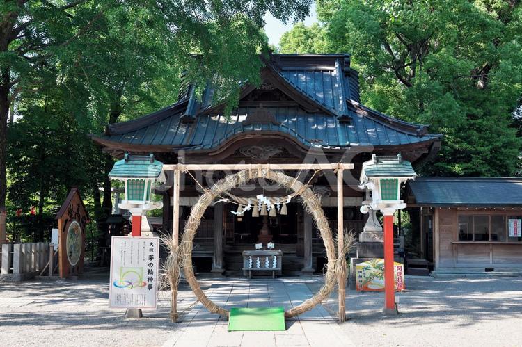 田無神社　拝殿・芽の輪 拝殿,芽の輪,田無神社の写真素材