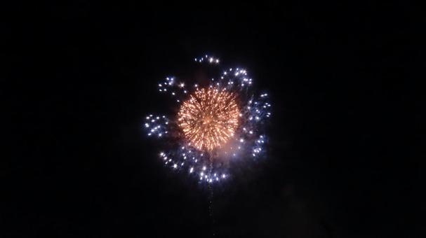 花火 花火の写真