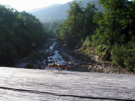 山郷の光景の写真