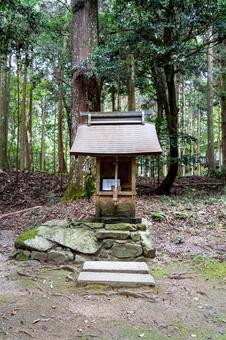 京都 日吉大社 東本宮 氏長社 京都 日吉大社 東本宮 氏長社 日吉大社,日枝社,日吉の写真素材