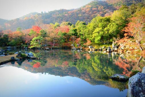 紅葉 紅葉の写真