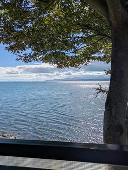 琵琶湖沿いのカフェより 琵琶湖,カフェ,滋賀の写真素材