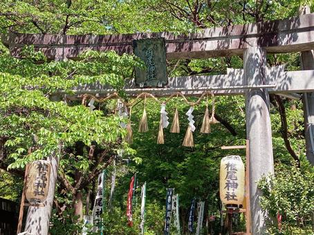 Torii gate of Shiio Shrine, JPG Torii gate of Shiio Shrine, JPG