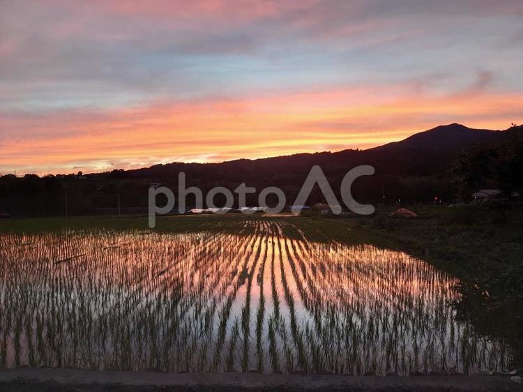 夕映え　田園 夕映え,田園,空の写真素材