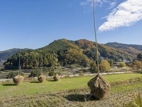 冬支度の飛鳥の里 冬支度の飛鳥の里 飛鳥,田園,初冬の写真素材
