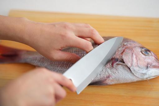 鯛に包丁を入れる手元 鯛に包丁を入れる手元 魚,料理,鯛の写真素材