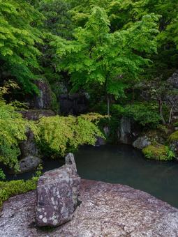 百済寺 百済寺 japan,寺院,仏閣の写真素材