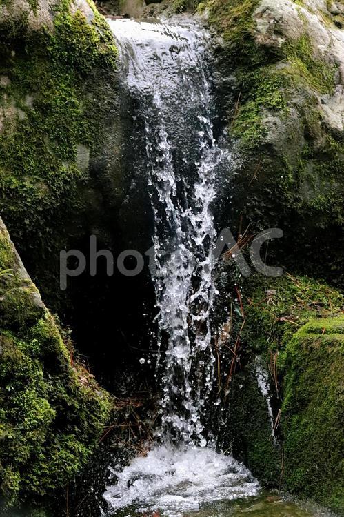森の中の滝 滝,森,川の写真素材