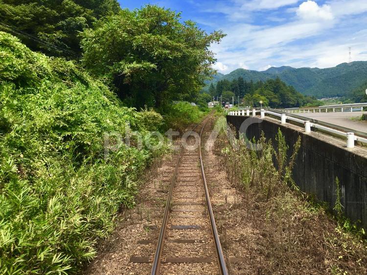 単線の線路 鉄道,自然,風景の写真素材